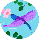 Carolyn Zammit (CZ) profile picture